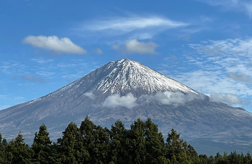 宗祖日蓮大聖人御聖誕800年慶祝記念総登山